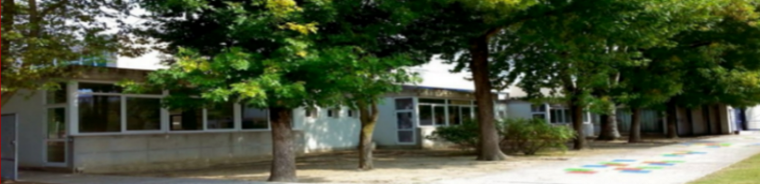 Primaria"S.M. Goretti" in Via S.M.Goretti