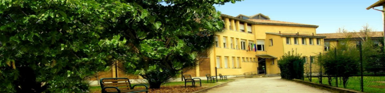 Primaria"J.Tintoretto"  in Via Monte Berico