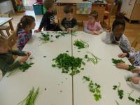 Tutti i toni del verde