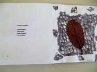 "Le foglie", sezione gialla, scuola dell'infanzia Il Quadrifoglio,