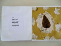 "Le foglie", sezione gialla, scuola dell'infanzia Il Quadrifoglio,