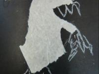 Giocare con il bianco