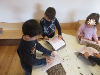 Osservo, invento, creo