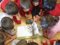 Osservo, invento, creo