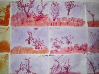 Il bosco fantastico e reale