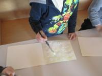 Osservo, invento, creo