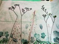 Il bosco fantastico e reale