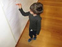 Gesti e segni in movimento