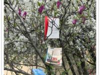 Le classi 3A e 3B  della Spallanzani  vincitrici al concorso “Scatto col libro”