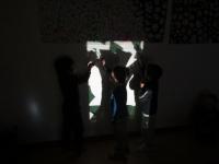 Osservo, invento, creo