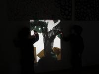 Osservo, invento, creo