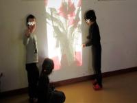 Osservo, invento, creo