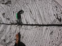  avventure ombrose e luminose